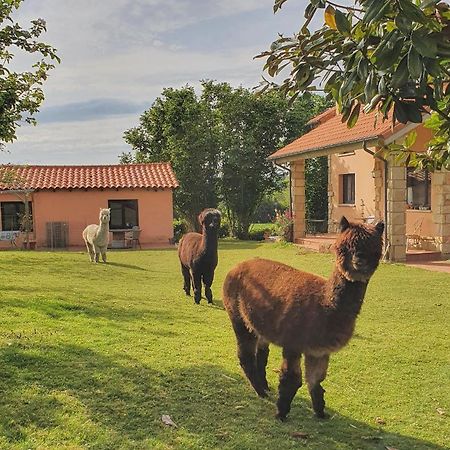 Hotel 3 Alpacas La Campa Екстериор снимка