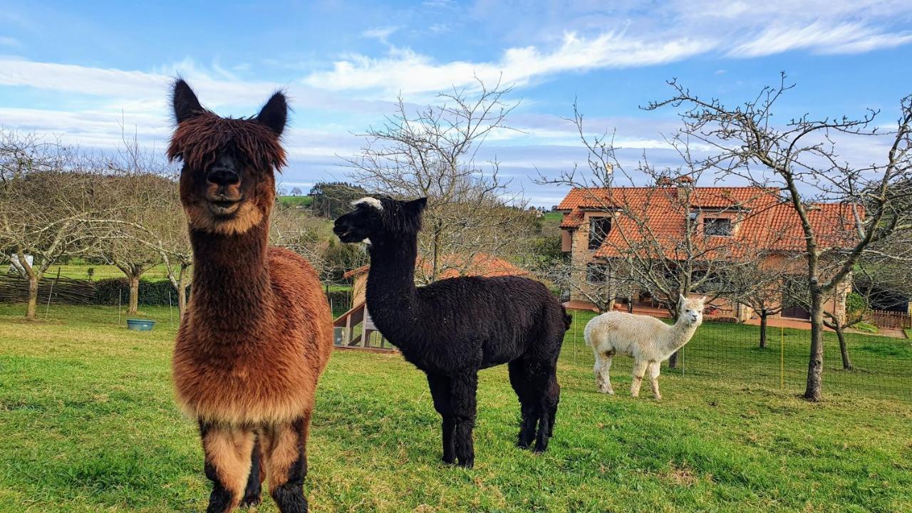 Hotel 3 Alpacas La Campa Екстериор снимка