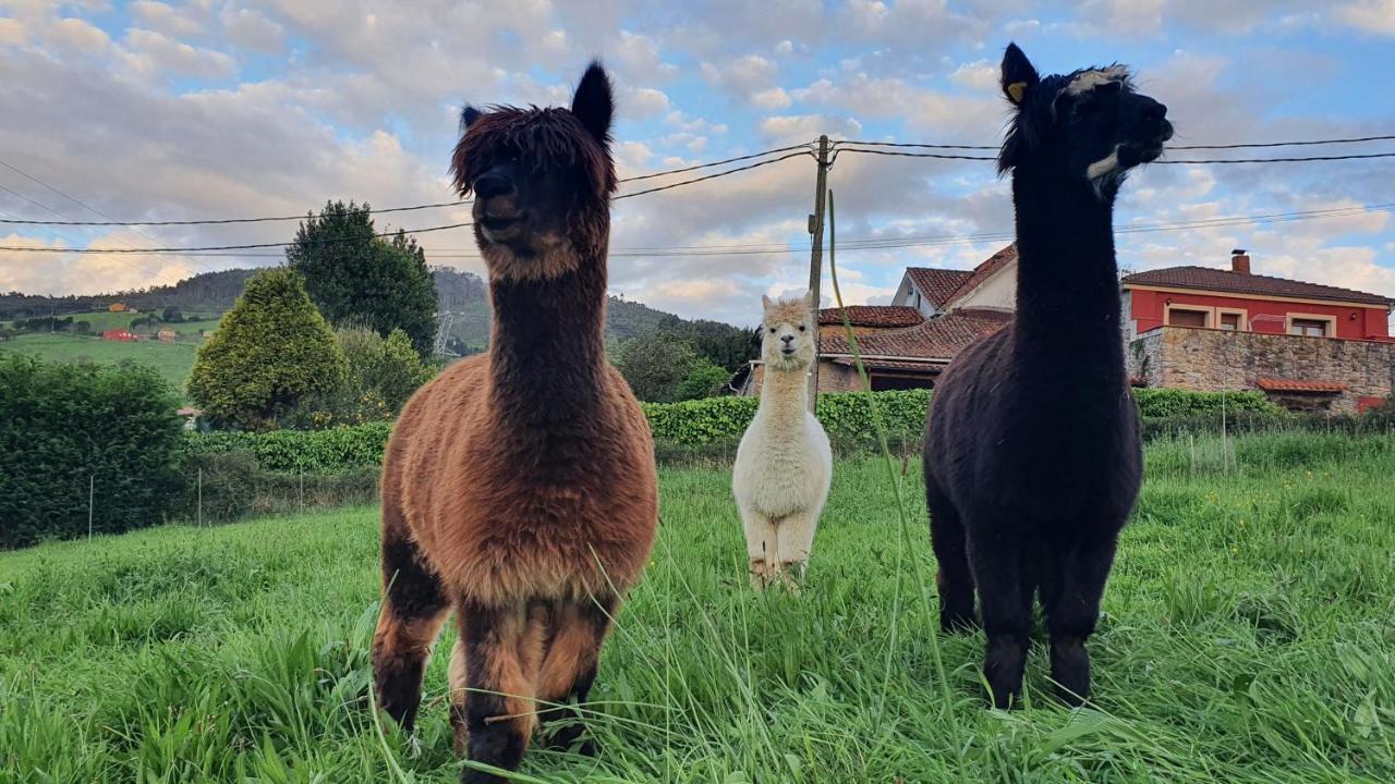 Hotel 3 Alpacas La Campa Екстериор снимка