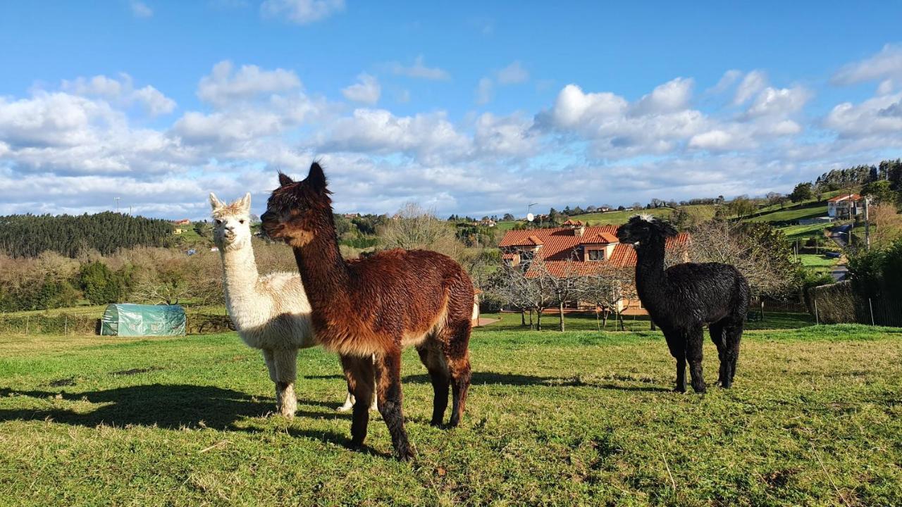 Hotel 3 Alpacas La Campa Екстериор снимка