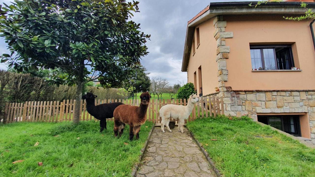 Hotel 3 Alpacas La Campa Екстериор снимка