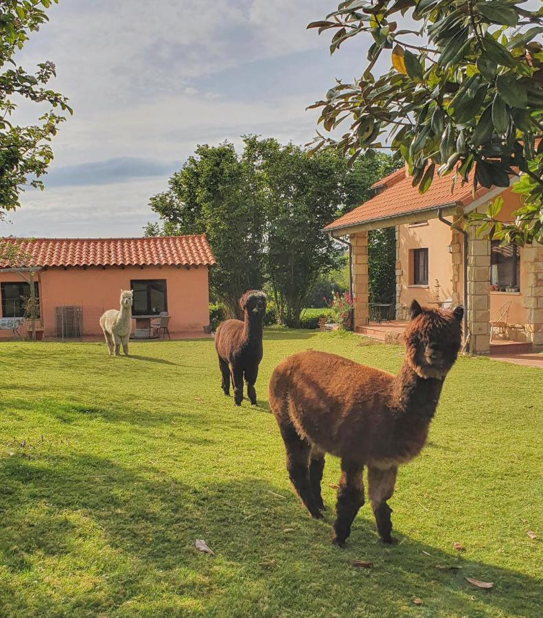 Hotel 3 Alpacas La Campa Екстериор снимка