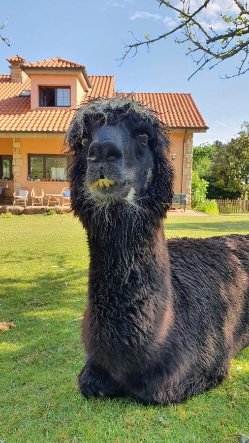 Hotel 3 Alpacas La Campa Екстериор снимка