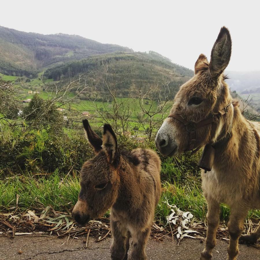 Hotel 3 Alpacas La Campa Екстериор снимка